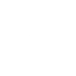 Intersport white